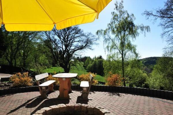 Wohnung In Hohegeiss Mit Grill Und Garten 브라운라제 외부 사진